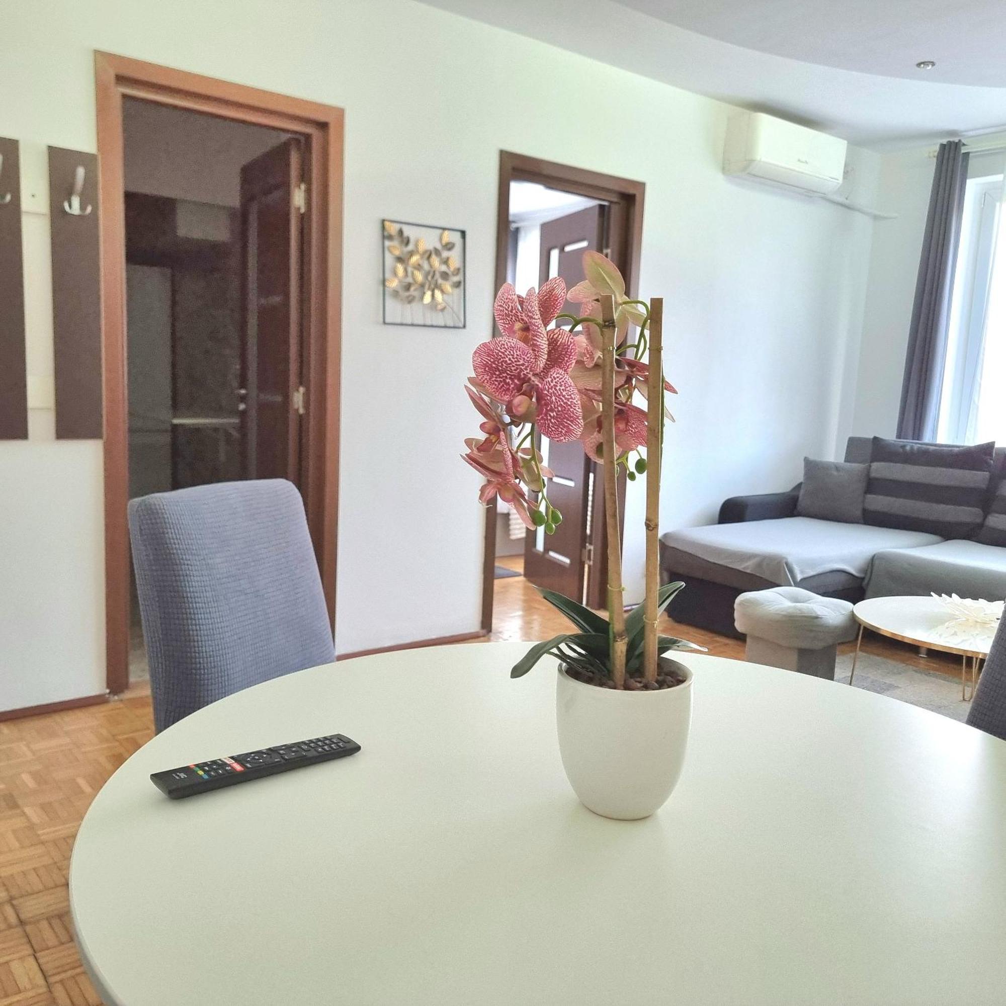 Chic Comfort 1Bdr With Landmark View - Concerthall بوخارست المظهر الخارجي الصورة